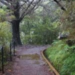 Levada3
